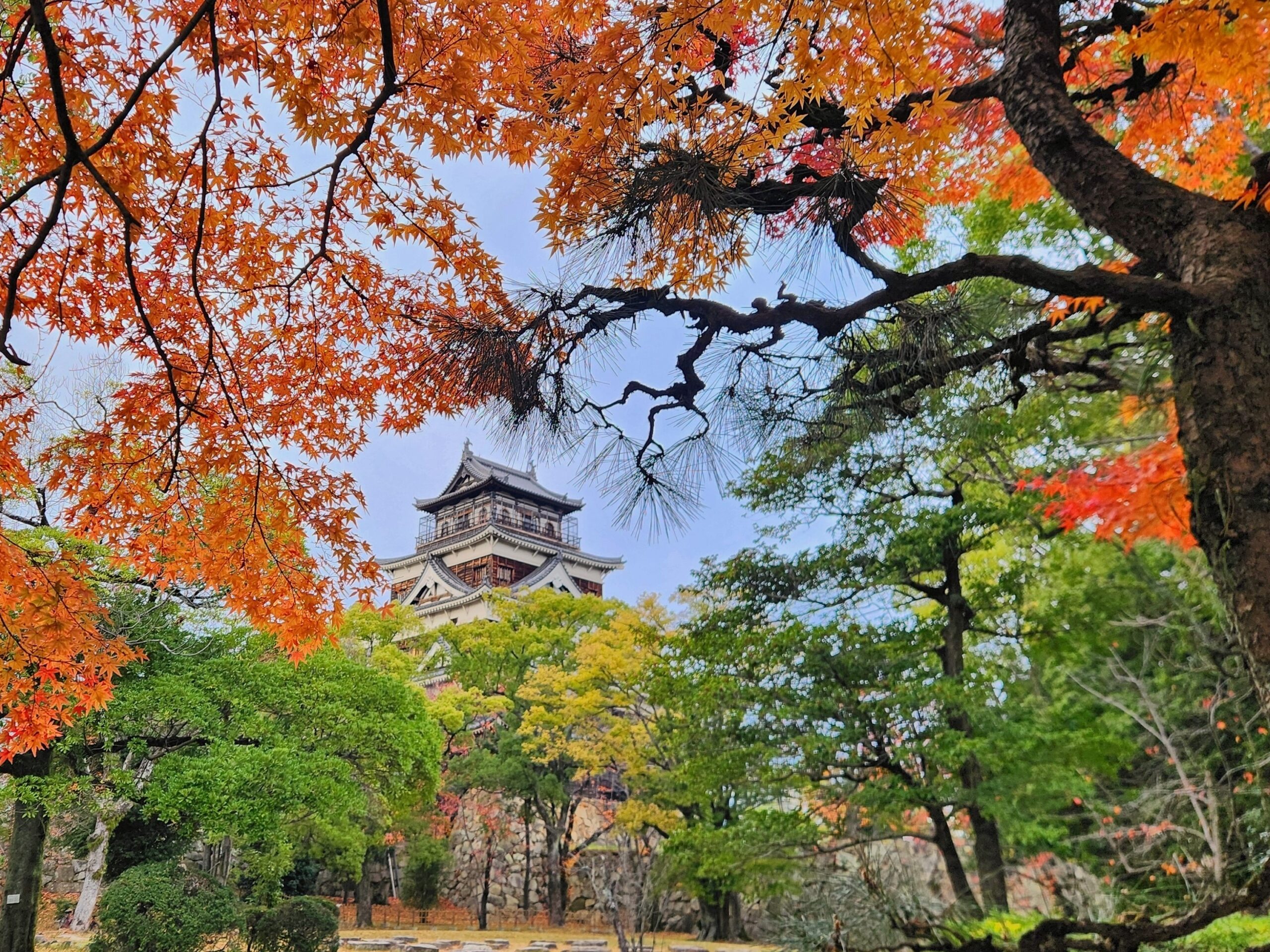 Delicious Osaka (#33)