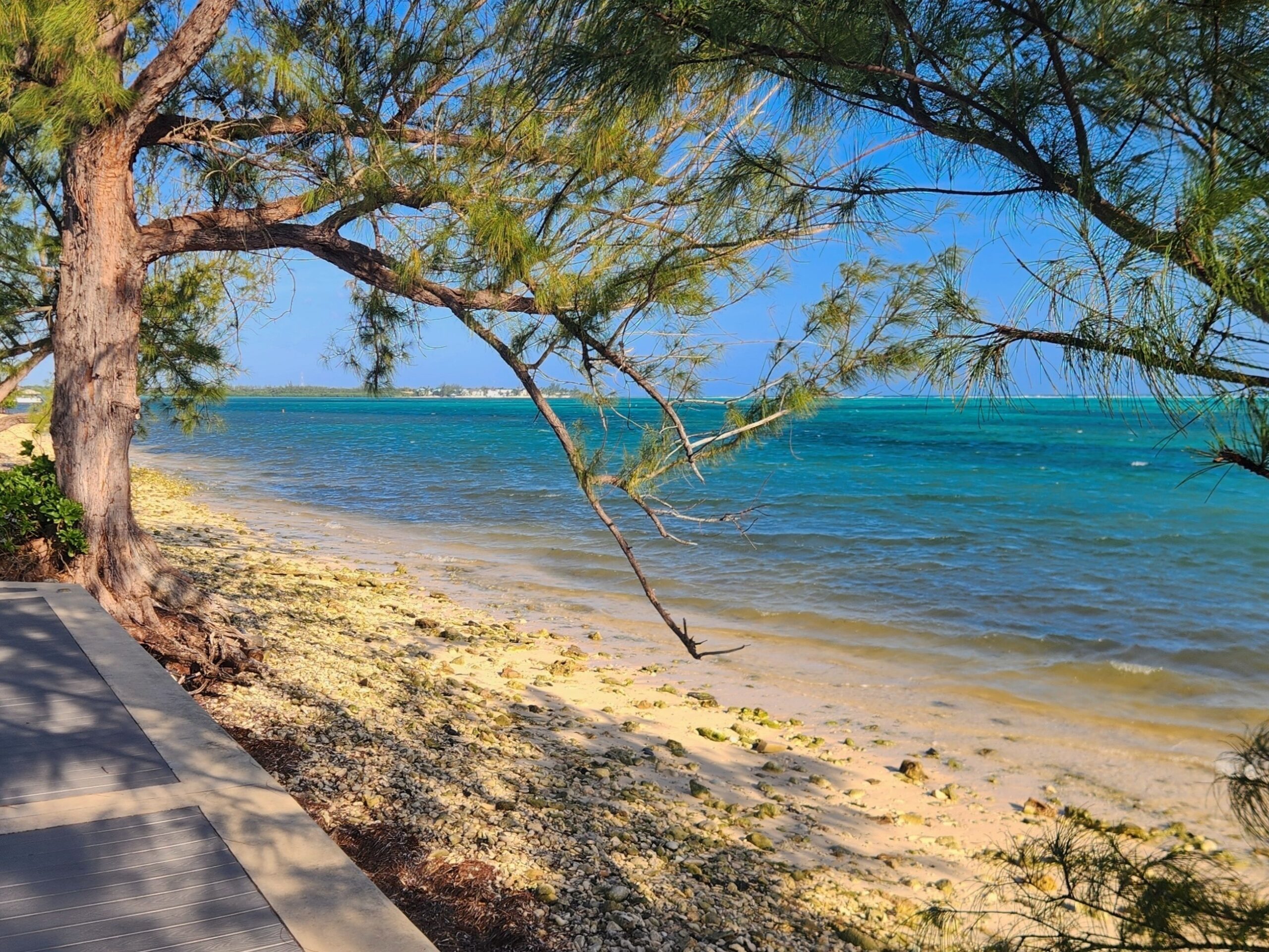 Diving Grand Cayman (#35)