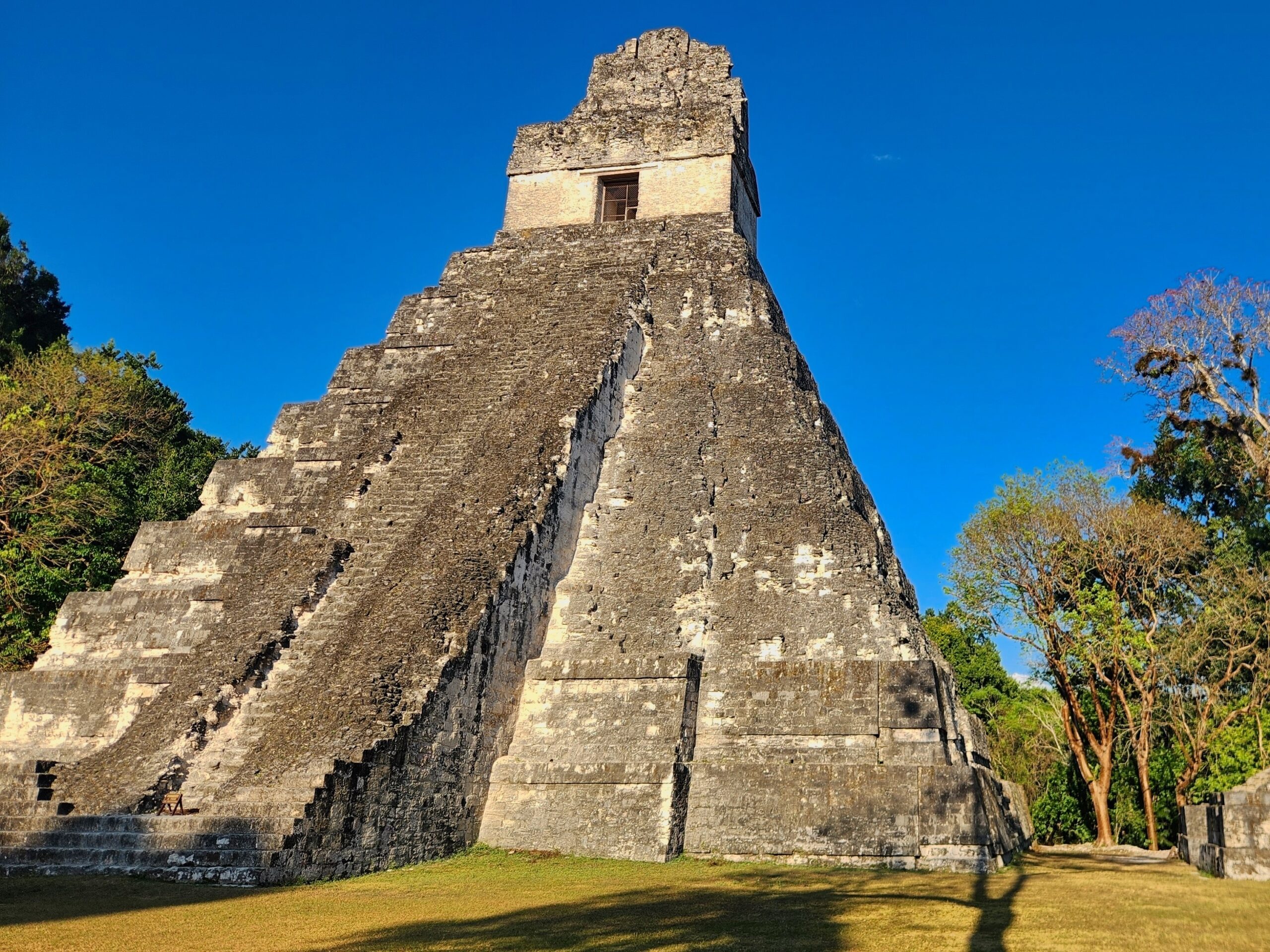 Tikal Jungle Adventure (#38)